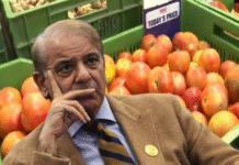 कंगाल पाकिस्तान में 1 किलो टमाटर बना लग्जरी आइटम, वजह सुनकर शहबाज-मुनीर पर भड़क जाएगी आवाम