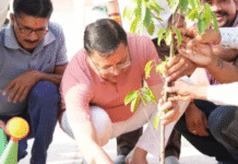 पूर्णागिरि मंदिर पहुंचे CM धामी, किया श्रमदान और रुद्राक्ष का पौधा रोपा