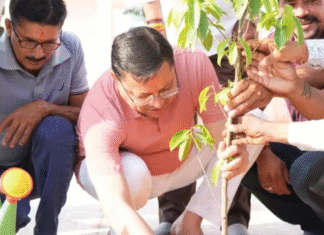 पूर्णागिरि मंदिर पहुंचे CM धामी, किया श्रमदान और रुद्राक्ष का पौधा रोपा